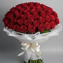 Букет 101 Красная роза Блэк Мэджик #REPLACE_PRED# Дорогобуже