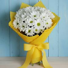Букет цветов из:  Хризантемы в Дорогобуже