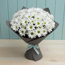 Букет цветов из:  Хризантемы в Дорогобуже