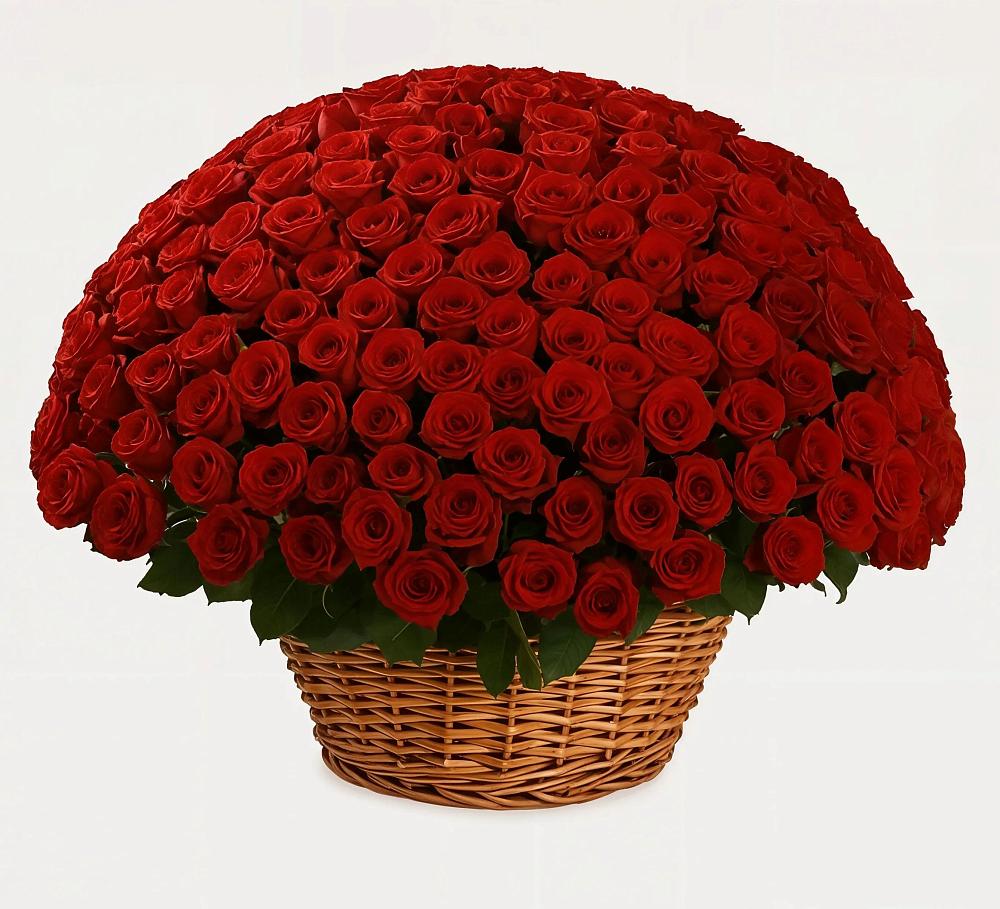 Премиум букет из: Розы в Дорогобуже