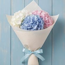 Букет цветов из:  Гортензия в Дорогобуже