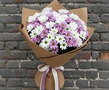 Букет цветов из:  Хризантемы #REPLACE_PRED# Дорогобуже