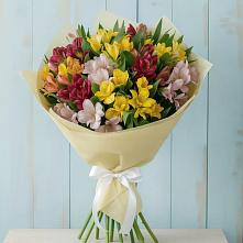 Букет цветов из:  Альстромерии в Дорогобуже