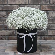 Цветочная композиция из Гипсофила в шляпной коробке в Дорогобуже