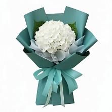 Букет цветов из:  Гортензия в Дорогобуже